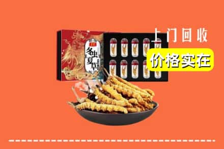 菏泽市牡丹回收冬虫夏草