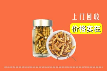 菏泽市牡丹回收散虫草