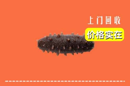 菏泽市牡丹回收海参