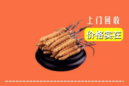 菏泽市牡丹回收冬虫夏草